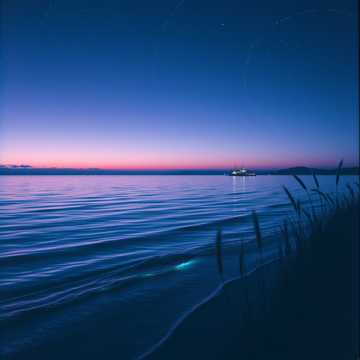 The Constant Swell